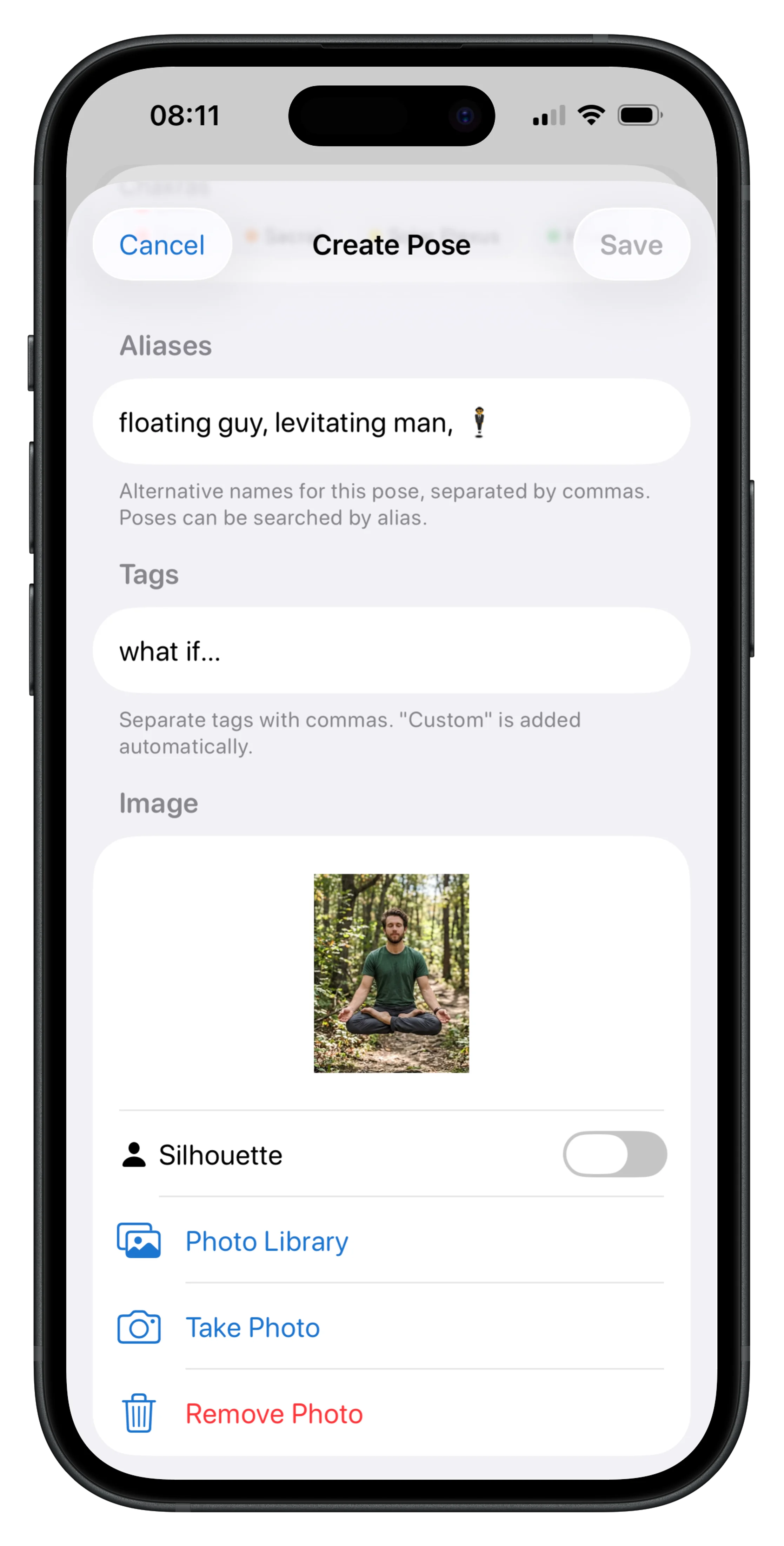 Silhouette pose before